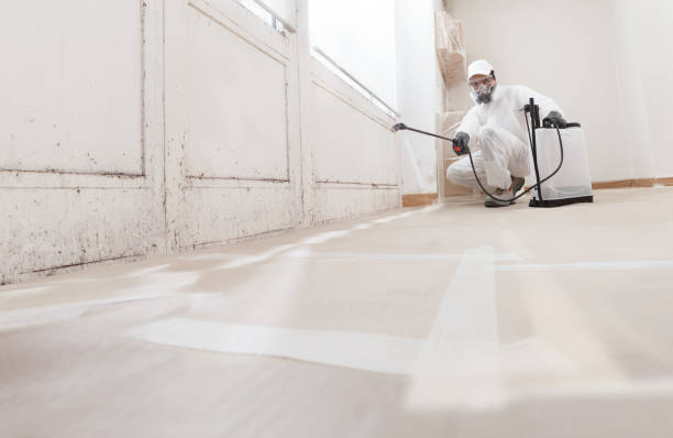 24/7 Emergency Basement Mold Remediation experts in Union City, NJ
